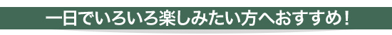 一日でいろいろ楽しみたい方へおすすめ